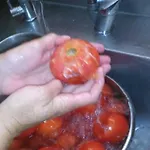 Vongole * Çeşme