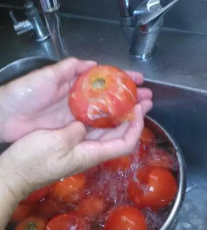 Vongole * Çeşme