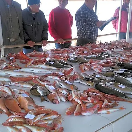호텔 Vongole Çeşme